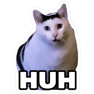 Telegram sticker 🐱 Backcho**di