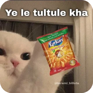 Telegram sticker 👍 Backcho**di