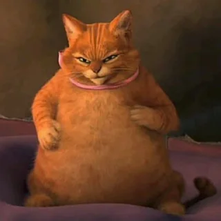 Telegram sticker 😒 GATO DE BOTAS @musicaoumeme