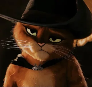 Video sticker 🙂 GATO DE BOTAS @musicaoumeme