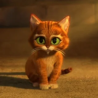 Video sticker 😳 GATO DE BOTAS @musicaoumeme