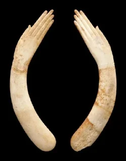 Telegram sticker 🙌 каменьmαριάμ