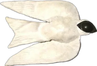 Telegram sticker 🐦 каменьmαριάμ