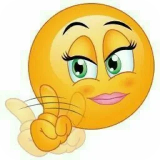 Telegram sticker 🐱 whoopitypoop :: @fStikBot