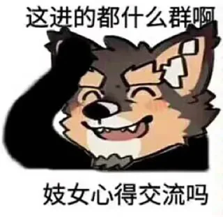 Video sticker 😅 帕狗