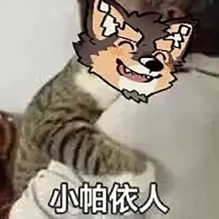 Telegram sticker 🥺 帕狗