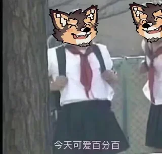 Video sticker 😄 帕狗