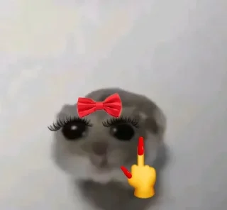 Telegram sticker 🐀 𖤛 ⠆ɾatιи soƒrιdo • 1 ─ @HL1224