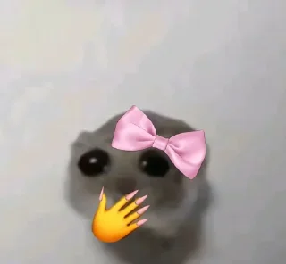 Video sticker 🐀 𖤛 ⠆ɾatιи soƒrιdo • 1 ─ @HL1224