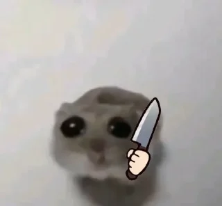Telegram sticker 🐀 𖤛 ⠆ɾatιи soƒrιdo • 1 ─ @HL1224