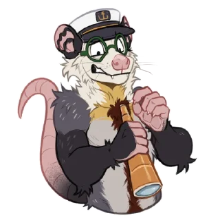 Video sticker 😱 Skipper Opossum (@opossumsailor)