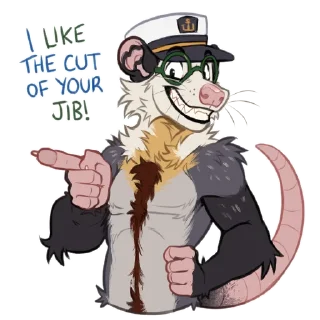 Video sticker 👍 Skipper Opossum (@opossumsailor)