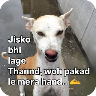 Telegram sticker 🐶 @sweetyfamily27