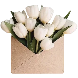 Телеграм стикер 💌 @round_stickers