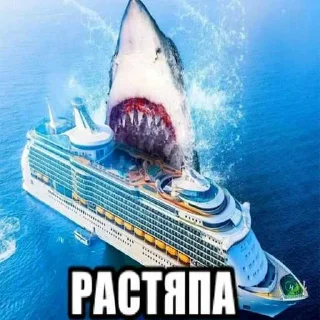 Video sticker 🦈 Больше стиков тут: @stikery4