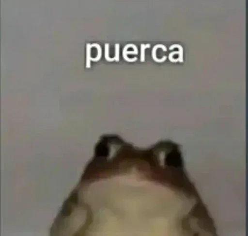 Телеграм стикер 🐸 ꫀꪶꪗ ☾