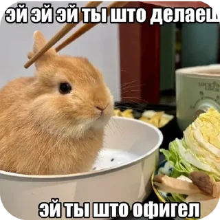Telegram sticker 🍲 к оч ень крутые стикеры @markaked