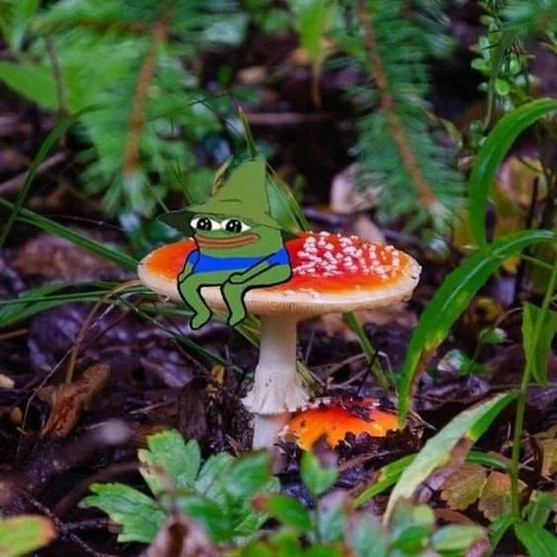 Telegram sticker 🍄 golden sun pack :: @fStikBot