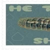 Video sticker 🌟 Оформаа-- @...