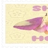 Sticker 🌟 Оформаа-- @...