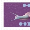 Video sticker 🌟 Оформаа-- @...