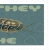 Video sticker 🌟 Оформаа-- @...