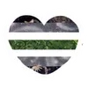 Sticker 🌟 Оформаа-- @R3m0teXD :: @fStikBot