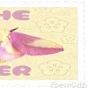 Video sticker 🌟 Оформаа-- @...