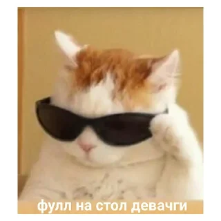 Telegram sticker 🤤 НСВП #1 (@wieldvpnrobot)