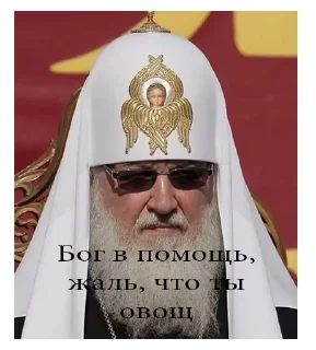Video sticker 😎 НСВП #1 (@wieldvpnrobot)