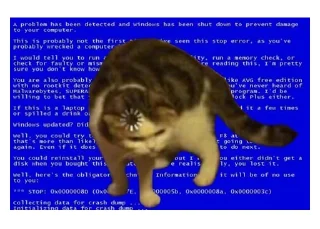 Telegram sticker 😐 НСВП #1 (@wieldvpnrobot)