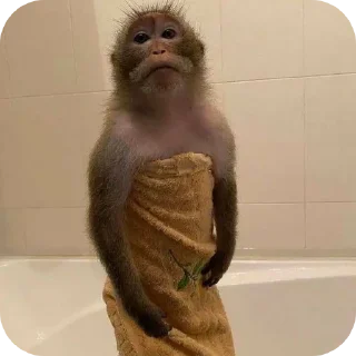 Telegram stiker 🧖‍♂ Больше стиков тут: @stikery4