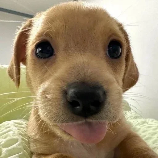 Sticker 🌟 наркотики зло @skyfa1ll