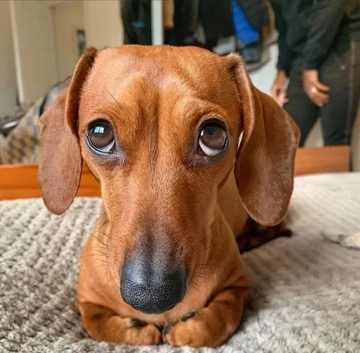 Telegram sticker 😌 наркотики зло @skyfa1ll