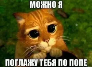 Video sticker 🤚 наркотики зло @skyfa1ll