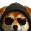 Video sticker 💸 레옹디자인