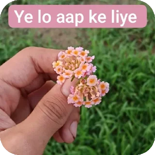 Telegram sticker 🌸 Impossible Heron :: @fStikBot