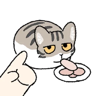 Video sticker 👀 猫好人坏 @zhaxia_cn