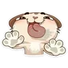 Video sticker 😊 @d1trez :: @fStikBot