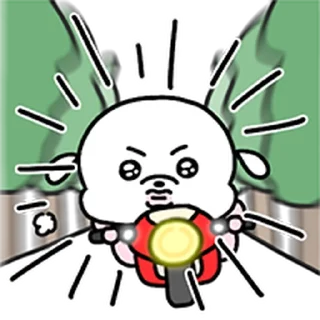 Video sticker ⭐ 복슬임다4 @moe_sticker_bot