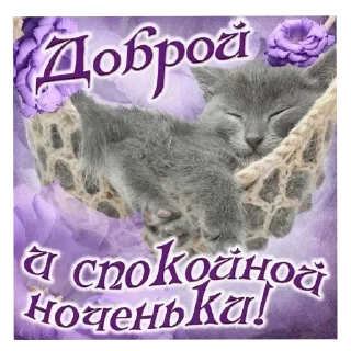 Telegram sticker 🐱 Больше стиков тут: @stikery4