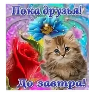 Telegram sticker 🐱 Больше стиков тут: @stikery4