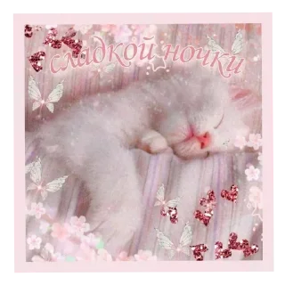 Sticker 🐱 Больше стиков тут: @stikery4