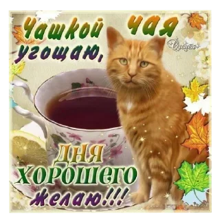 Telegram sticker 🐱 Больше стиков тут: @stikery4