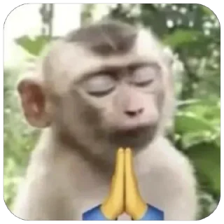 Video sticker 🙏 Больше стиков тут: @stikery4