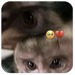 Telegram sticker 💔 Больше стиков тут: @stikery4