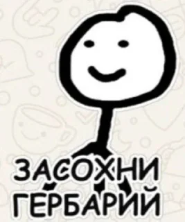 Video sticker 🤩 Мемы @MoiStikiBot