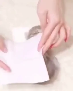 Video sticker 😎 @K_V_80's Hêllẞø† (Video)