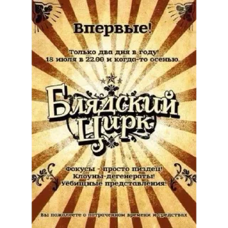 Video sticker 🔥 Солянка @Stickerhub14