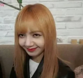 Video sticker 😻 blackpink